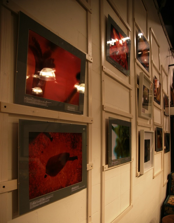 Выставка фотографий  кинооператора и сценариста Геннадия Немых  в студии дизайна BriArt 11 июня 2014 г. 
