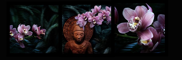 Александра Загряжская  "Будда и орхидеи"