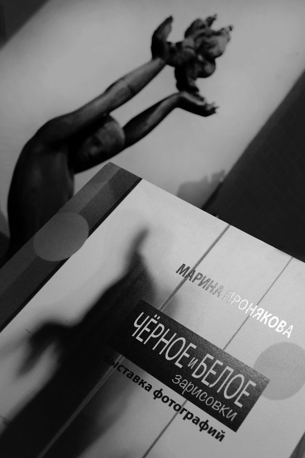 Выставка Марины Проняковой в Творческой Мастерской Рябичевых Афиша скульптура  Арт-Релиз.РФ