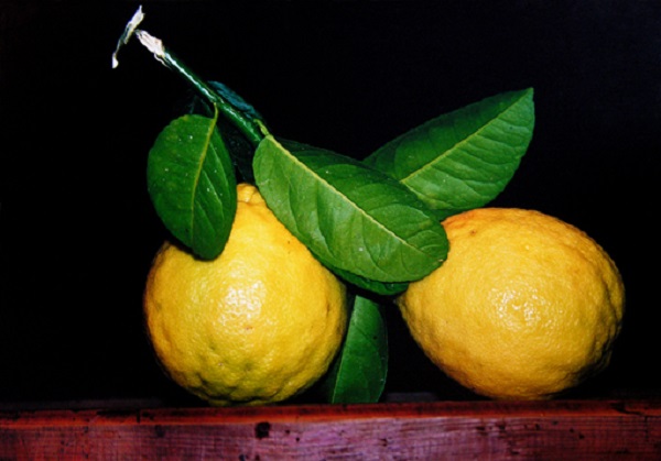 Иван Порто Натюрморт с лимонами  Посвящение Караваджо